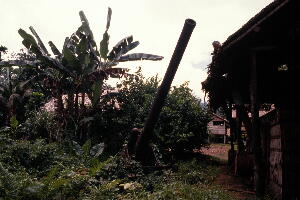ブーゲンビル島へ